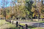  Venta  Parcela en Villarrica  UF1.701,01 $70.000.000 