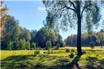  Venta  Parcela en Villarrica  UF2.259,91 $93.000.000 
