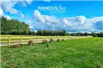  Venta  Casa en Puerto Varas  $226.363.500 UF5.500 