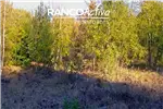  Venta  Sitio en Villarrica  UF16.281,10 $670.000.000 