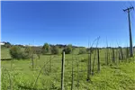  Venta  Parcela en Chillán  UF1.190,56 $49.000.000 