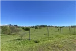  Venta  Parcela en Chillán  UF1.190,56 $49.000.000 