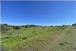  Venta  Parcela en Chillán  UF1.190,56 $49.000.000 
