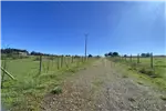  Venta  Parcela en Chillán  UF1.190,56 $49.000.000 
