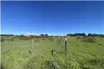  Venta  Parcela en Chillán  UF1.190,56 $49.000.000 
