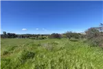  Venta  Parcela en Chillán  UF1.190,56 $49.000.000 