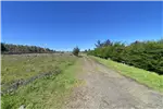  Venta  Parcela en Chillán  UF1.190,56 $49.000.000 