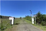  Venta  Parcela en Chillán  UF1.190,56 $49.000.000 