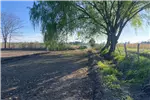  Venta  Parcela en Chillán  UF1.214,86 $50.000.000 