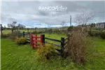  Venta  Casa en Puerto Varas  $337.487.400 UF8.200 
