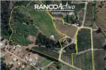  Venta  Agrícola en Quillón  $833.017.680 UF20.240 