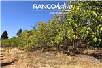  Venta  Agrícola en Quillón  $833.017.680 UF20.240 